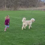 My little and our dog playing in our back yard.